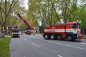 LKW verliert Auflieger Koeln Boltensternstr Pasteurstr P2012